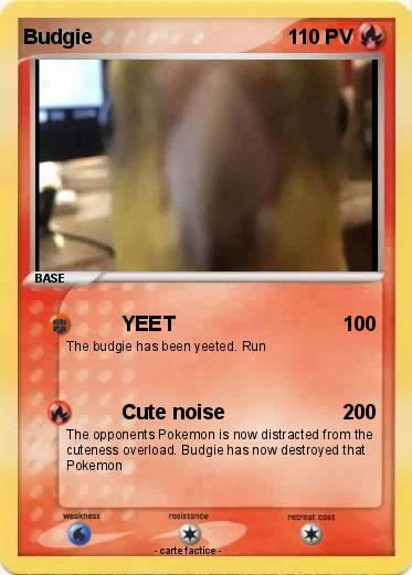 Pokemon Budgie