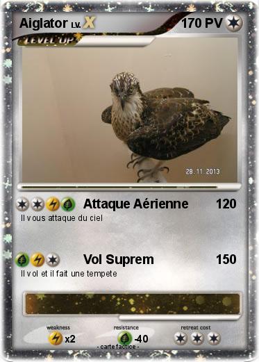 Pokemon Aiglator