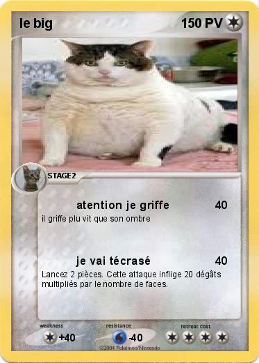 Pokemon le big