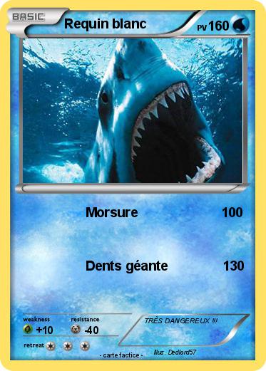 Pokemon Requin blanc