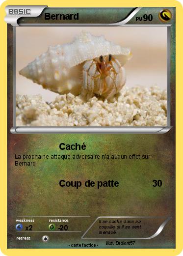 Pokemon Bernard
