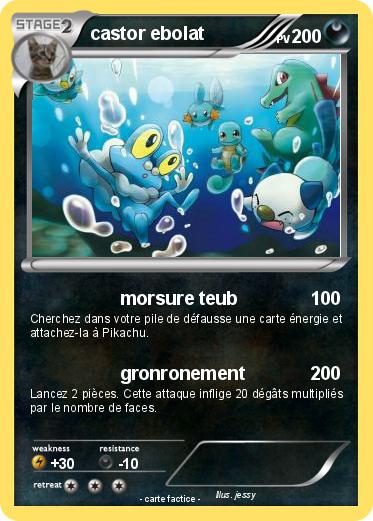 Pokemon castor ebolat