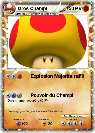 Pokemon Gros Champi