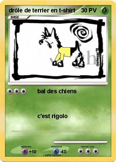Pokemon drôle de terrier en t-shirt