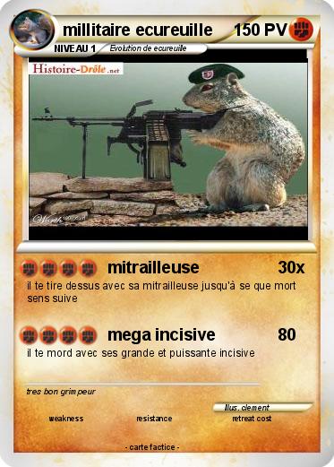 Pokemon millitaire ecureuille