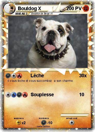 Pokemon Bouldog X