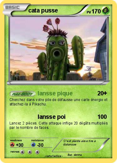 Pokemon cata pusse