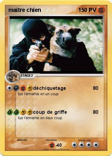 Pokemon maitre chien