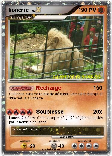 Pokemon lionerre