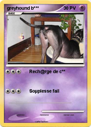 Pokemon greyhound b***