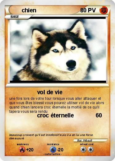 Pokemon chien