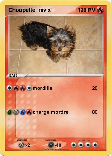 Pokemon Choupette  niv x