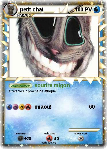 Pokemon petit chat