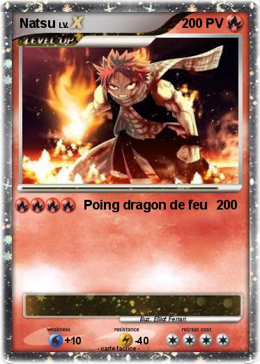 Pokemon Natsu