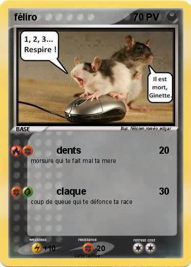 Pokemon féliro