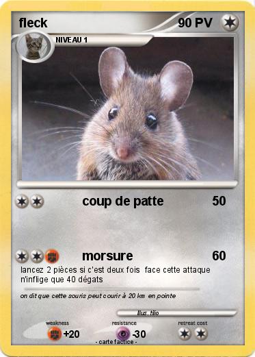 Pokemon fleck