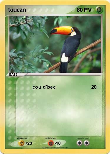 Pokemon toucan
