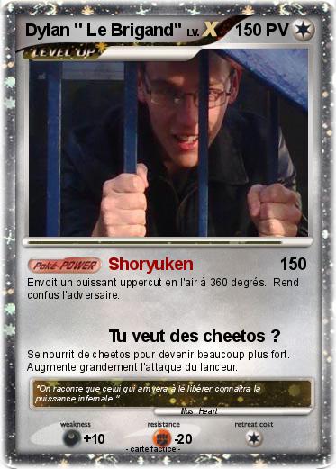 Pokemon Dylan '' Le Brigand''