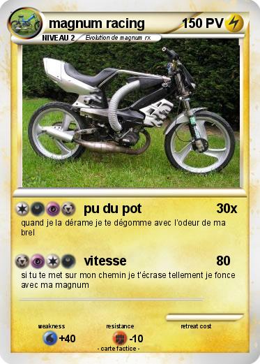 Pokemon magnum racing