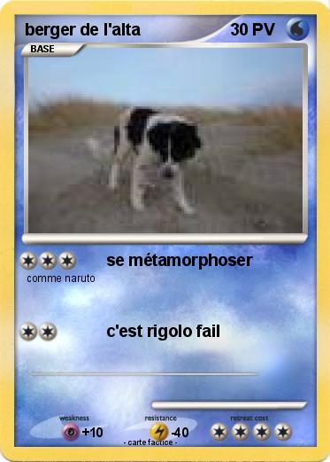 Pokemon berger de l'alta