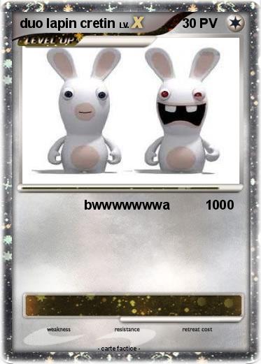 Pokemon duo lapin cretin