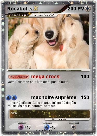 Pokemon Rocabot