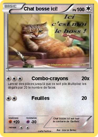 Pokemon Chat bosse ici!