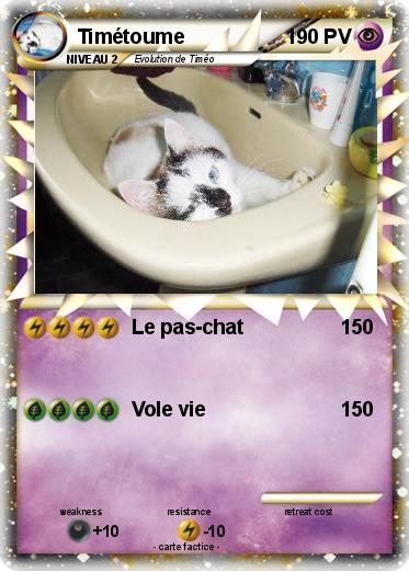 Pokemon Timétoume