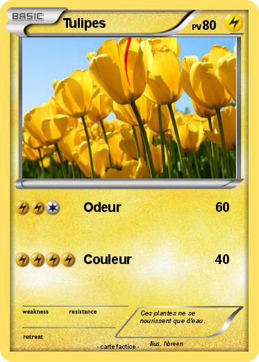 Pokemon Tulipes