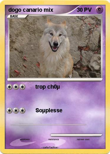 Pokemon dogo canario mix