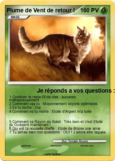 Pokemon Plume de Vent de retour !