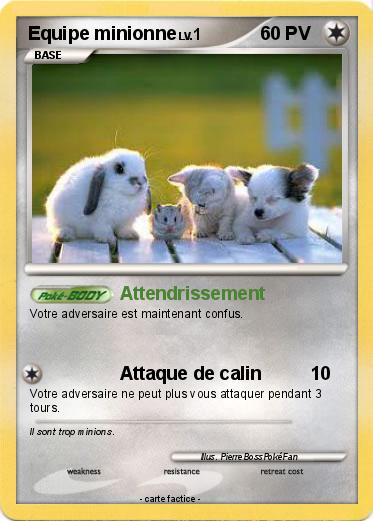 Pokemon Equipe minionne