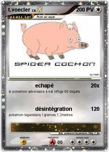 Pokemon t.voecler