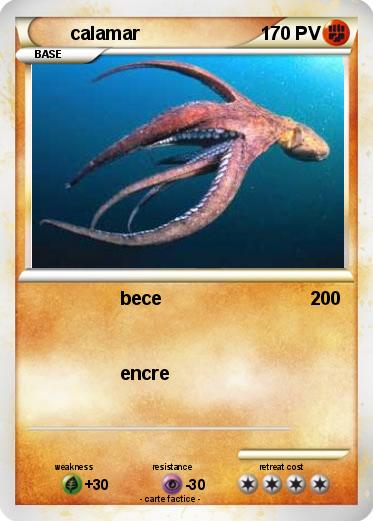Pokemon calamar