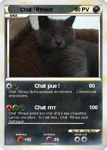 Pokemon Chat ' Rtreux