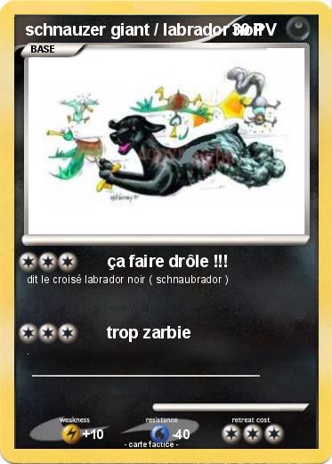 Pokemon schnauzer giant / labrador noir