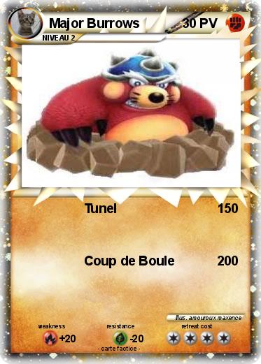Pokemon Major Burrows