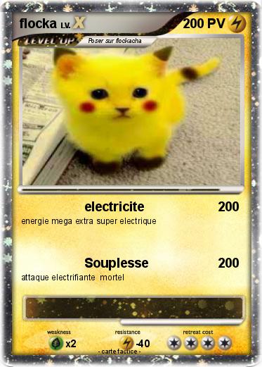 Pokemon flocka