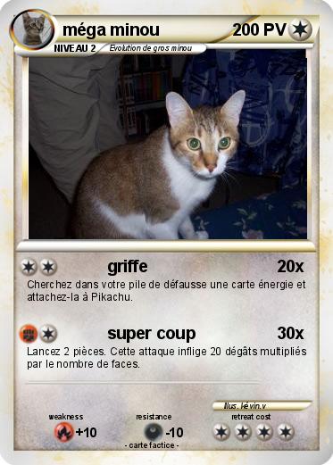Pokemon méga minou
