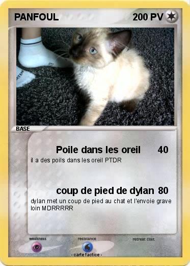 Pokemon PANFOUL