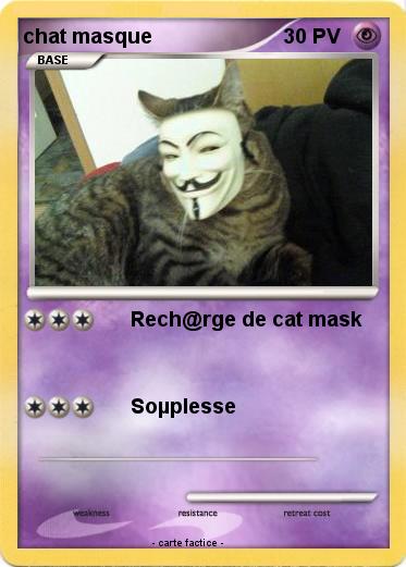 Pokemon chat masque