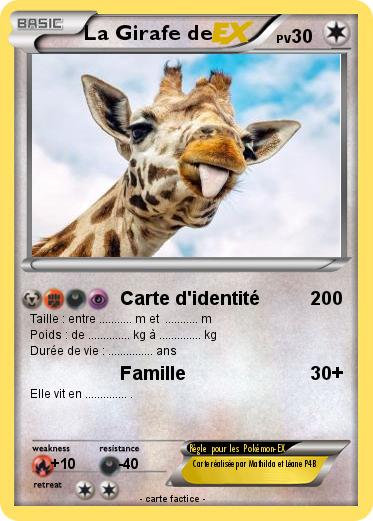 Pokemon La Girafe de