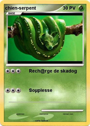 Pokemon chien-serpent