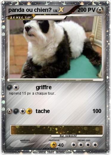 Pokemon panda ou chien?