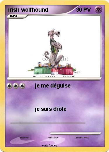Pokemon irish wolfhound