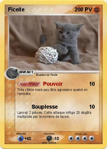 Pokemon Ficelle
