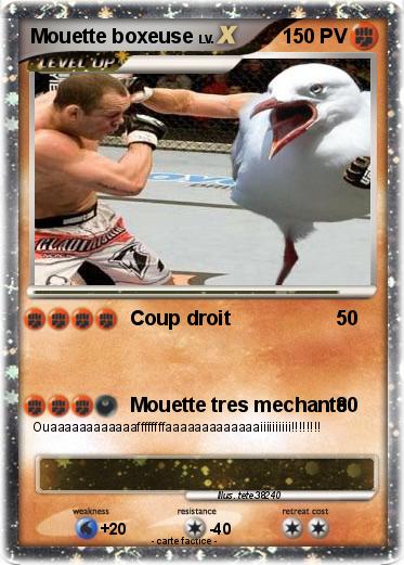 Pokemon Mouette boxeuse
