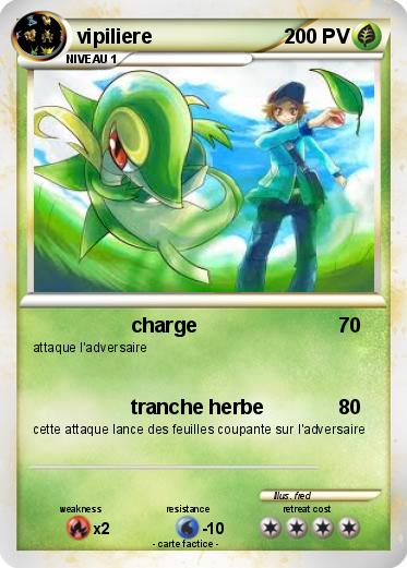 Pokemon vipiliere