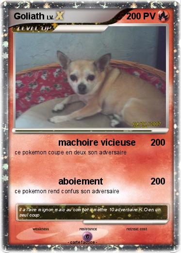 Pokemon Goliath