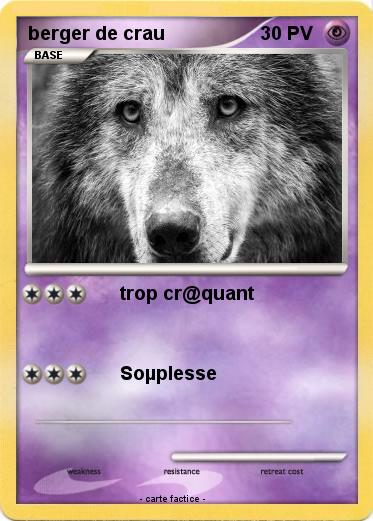 Pokemon berger de crau
